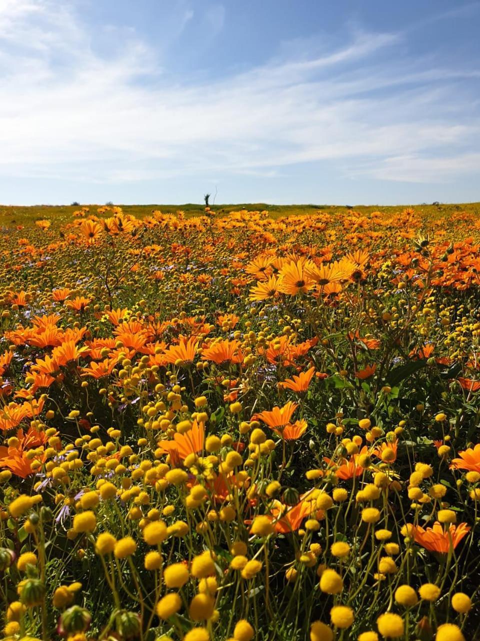 Namaqualand Eco Lodge Soebatsfontein Exterior foto